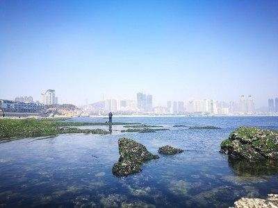  大潮■大连黑石礁自然博物馆——大潮退落看大桥~
