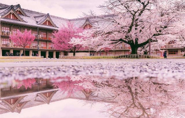 国人去趟日本再回国，到底是什么体验？游客坦言：差距很大