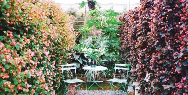 钟祥及周边300多家景点免费或半价！不知道就太亏了