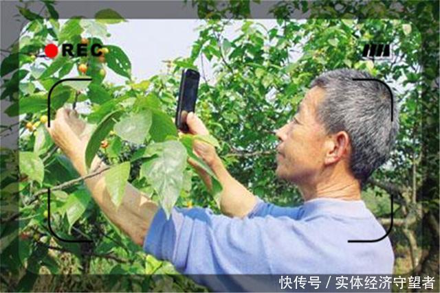  城市■农村人年龄大了，出去打工没人要怎么办呢？几点建议供参