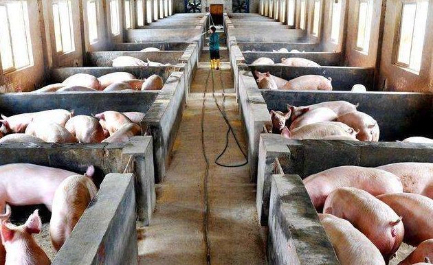  [农产品电商]想要在“农村创业”却不知道干什么，几个涉农行业