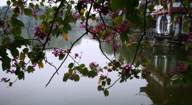 广西最“难混”的城市，打5份工作才勉强过日子，生活成本惊人