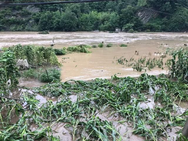 桥梁被冲毁、商铺被淹、道路塌方，暴雨突袭陕西这些地方