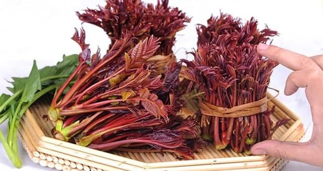  【村民】春季农村的5种野菜，村民不稀罕，城里人当“宝贝”，纷