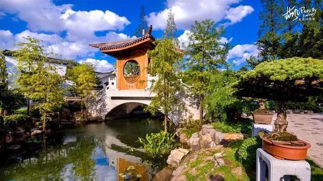 国内最大的专类盆景园,江南园林海派风格美不胜收