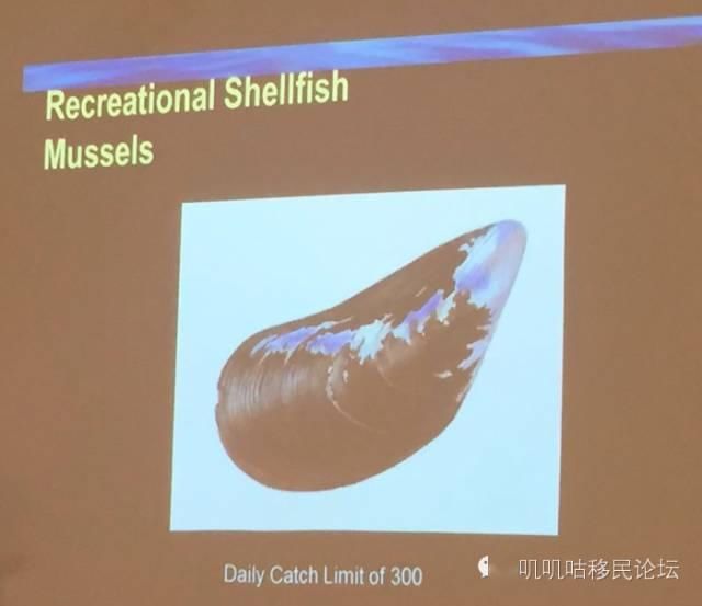  [不需要鱼证]爱岛解禁，渔季到来，我们可以去钓鱼吗？需要注意哪些规定？