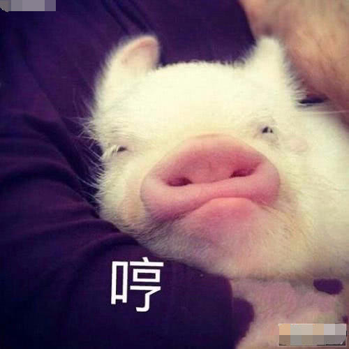 网友总结被骗的童年，大人说的这些“常识”都是骗人的！尤其第三