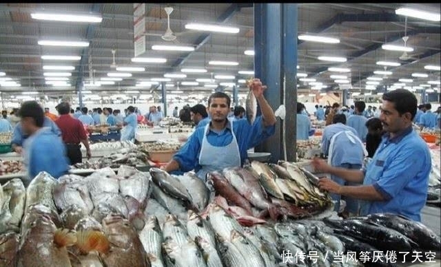 迪拜的菜市场是啥样？只要钱到位，只有想不到没有你买不到的