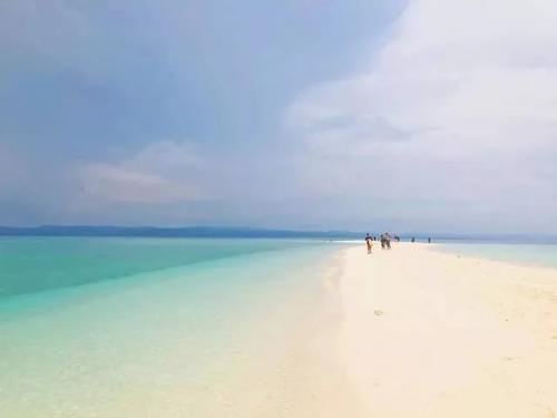 人生怎么也要看一次的长尾鲨！！