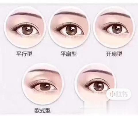  『平行型』条友们知道双眼皮的几种型态吗？