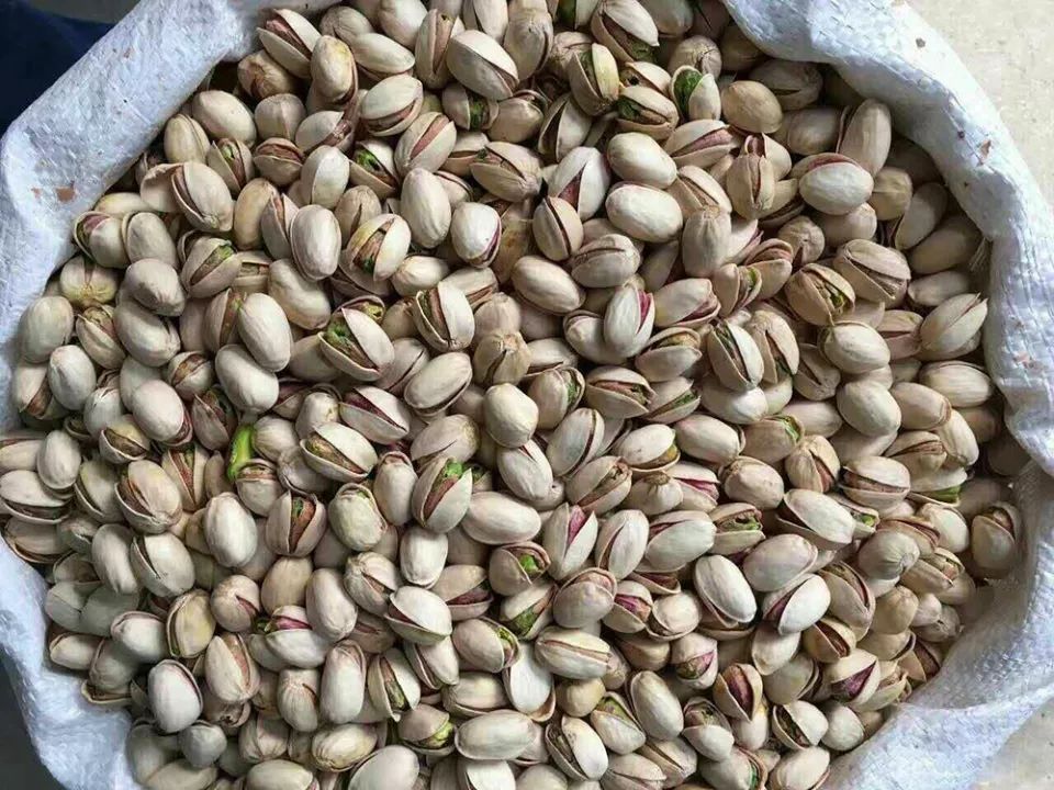  进口|曾靠进口才能吃到，如今产量一年比一年高，农民却说越种越