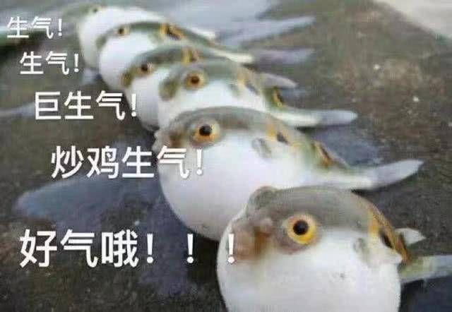  诅咒■十条笑话：其实，恋人分手了何必要去诅咒对方呢？毕竟曾经爱过