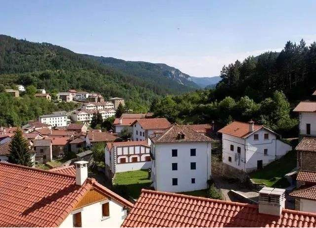  [利处]“合村并镇”好处多多，4个利处家家有份，专家：农民都很