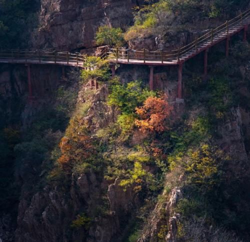 河南一“独特”的景区，曾经是荒山一座，如今收取80元的门票