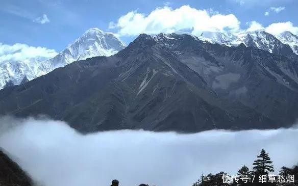  内陆地区|为何越来越多的人去西藏打工？难道是因为工资高？网友