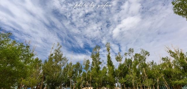 青海茫崖:柴达木盆地的奇迹之城,戈壁滩上的生命绿洲