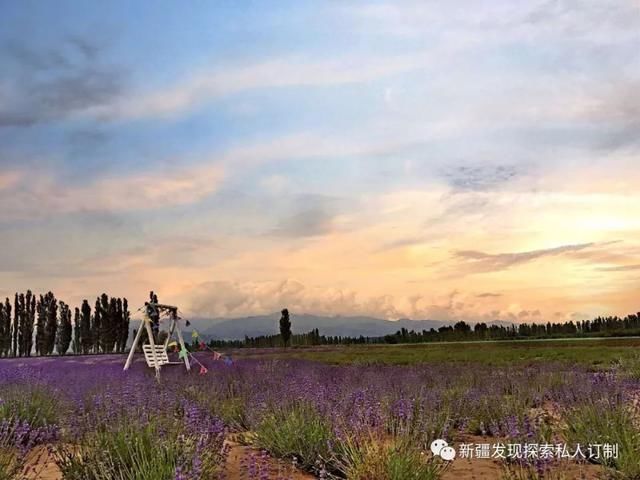 去了北疆才知道，中国有多大；去了南疆才知道，中国有多美