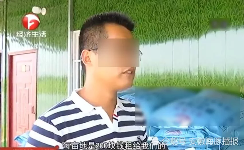 承包土地搞养殖，虾藕共养出问题，村委会擅自将龙虾全部药死