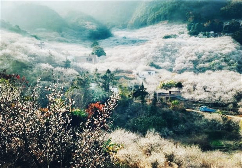  发现@广东发现一奇石，被雷劈开大裂缝，顶着千斤重的“脚趾石”