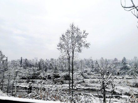 见过凤凰的水，见过凤凰的雪吗？