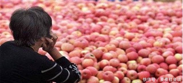  [农产品]水果滞销后，为何总是中间商背锅？