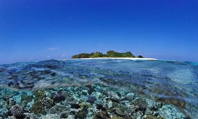 为什么四面环海的南海永暑岛，会有地下淡水？