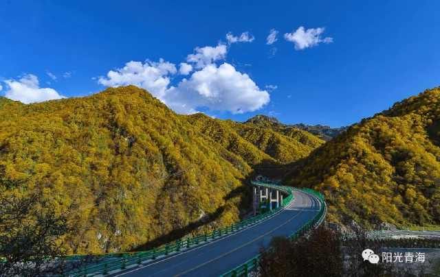 有此秋景，何必远方！