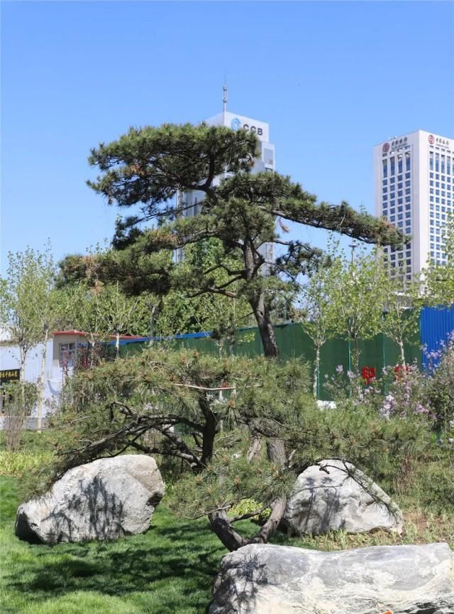 开放:五一期间,石家庄市中心这座新公园将正式开放!地铁可直达