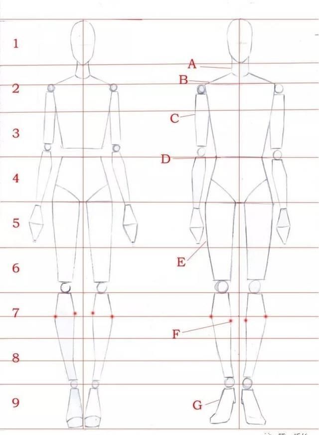  [模特的身]全新-160个服装人体动态【线稿】素材分享！（独家珍藏版）