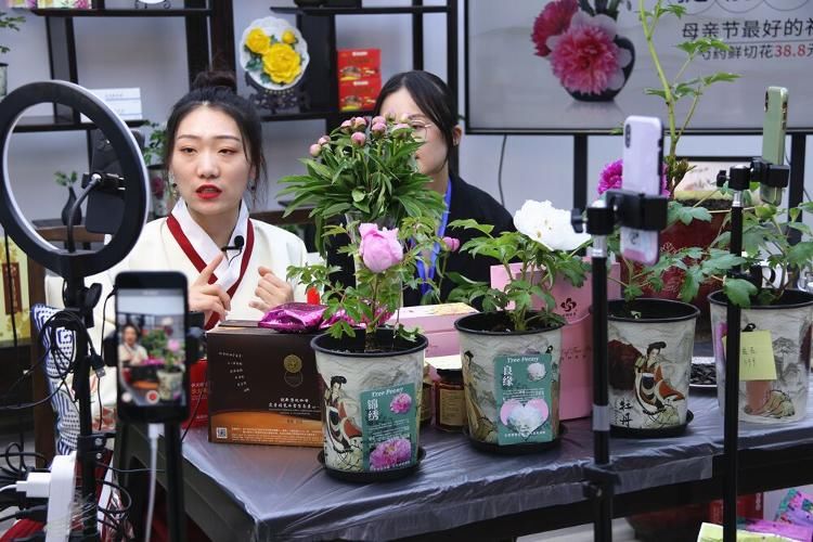  #网上#电商助力，菏泽牡丹网上俏销