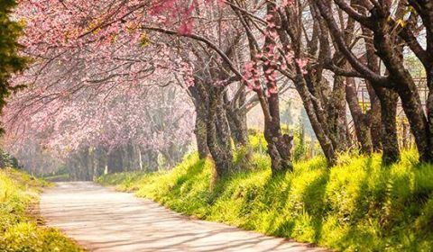 专业摄影人士告诉你,拍摄精美风景照片遵循这几点