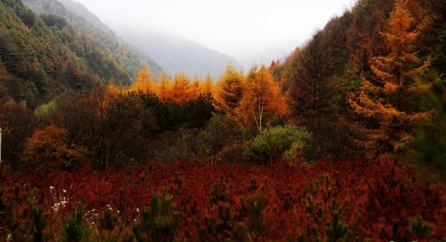 大美清水秋风秋景秋意浓 色彩斑斓美如画（图）