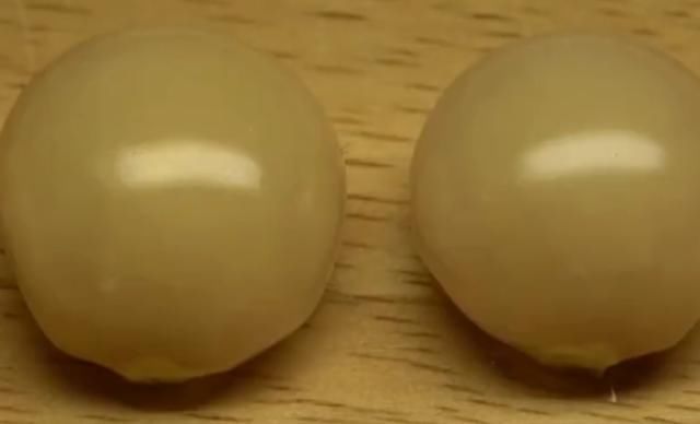  「果子」一种果子生长在山上，开花结果需要2年，如今农民大量种