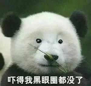  『刷屏』问壹点｜“本人黑眼圈证明”刷屏？壹起扒一扒黑眼圈的前世今生