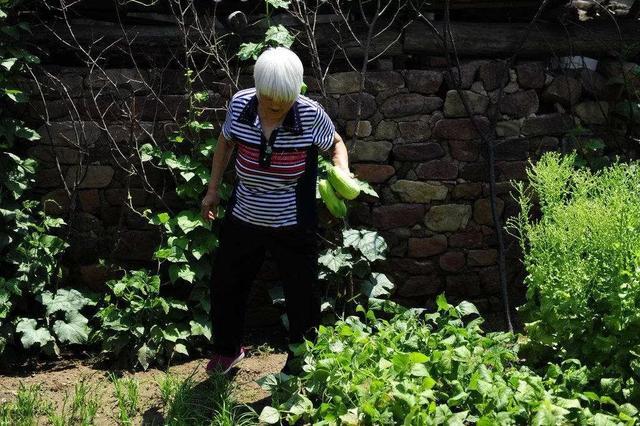 敢花钱：农民一辈子辛苦挣的钱，都花在这里了！省吃俭用依然穷