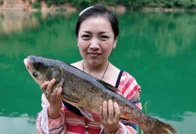  「反对」都说钓鱼人的快乐是为娱不为鱼，我反对