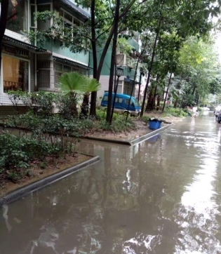 四川一夜雨，成都一小区里看河
