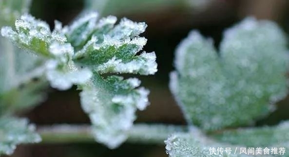  「冷风」霜冻来了！今天起真要变天了，阵雨 冷风 大降温…