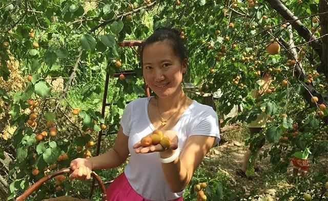 农村这种野果，以前是小孩的零食，营养价值高，如今很难吃到