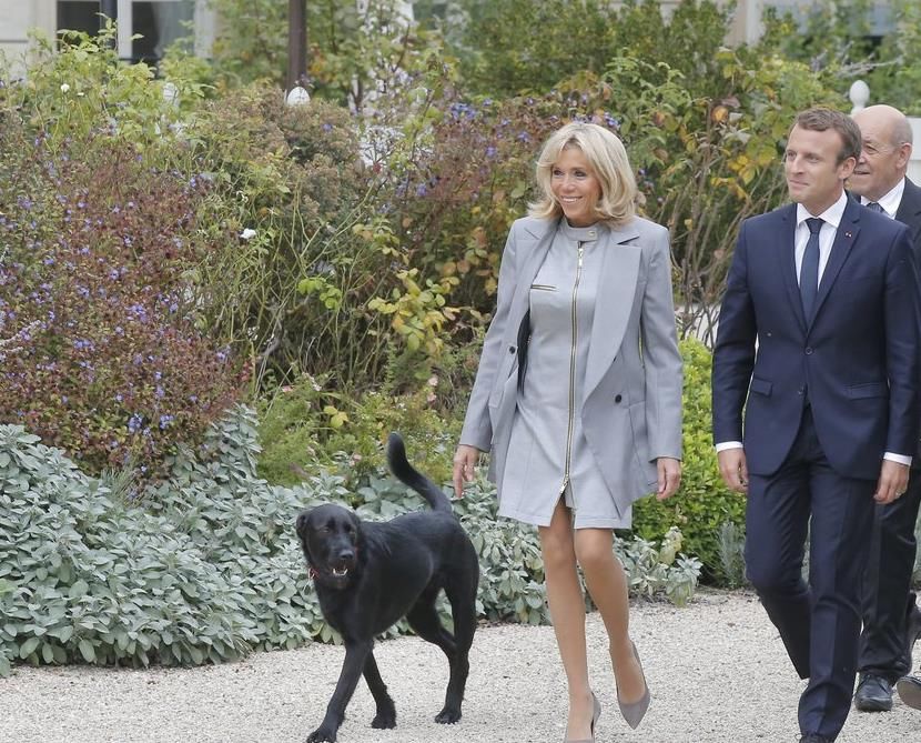 64岁“法国第一夫人”不服老，紧身裤，白短裙，细高跟，很抢眼