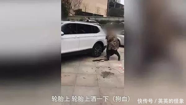 湖南一男子杀狗祭新车，现场有说有笑，称这样可以保平安！