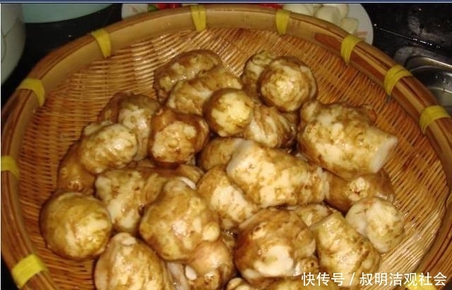  发家致富■农村最烂最贱的菜，制成粉卖40元1公斤，农民靠它发家