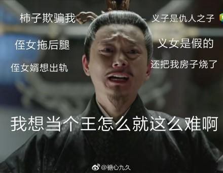 《扶摇》国公发微博称心好累，身边都是假的，网友众筹给他买王座