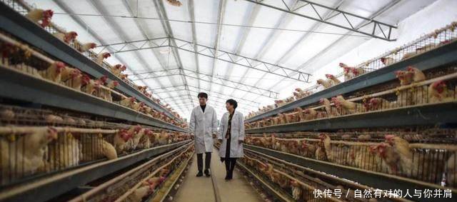 环保部消息！未来国家将大力支持三种养殖户，五种养殖户将淘汰！