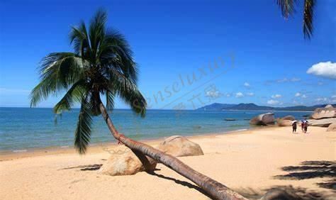 打算去三亚度假，那就先来了解三亚旅游最佳时间吧！