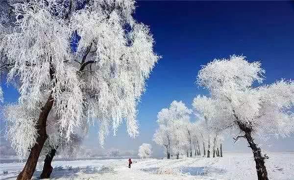 赏冬日美景，自南向北，来一场穿越四季的旅行