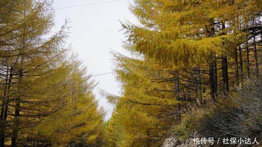  [新农村]农村没有退休金的老人该如何养老呢？
