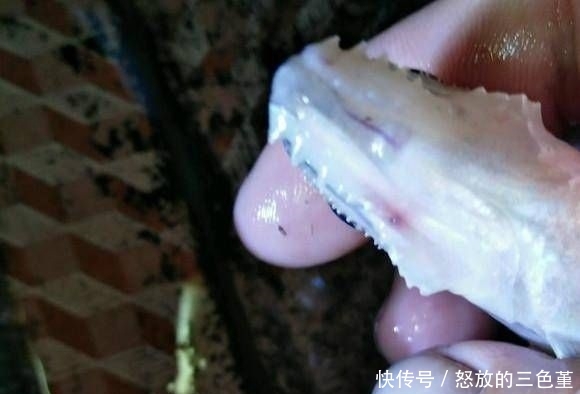  「钓友」山涧中垂钓哪有什么大鱼，有这种小鱼就不错了，不过这是什么鱼？