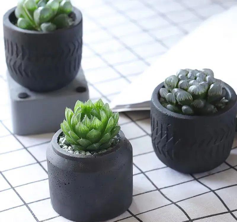 「喜欢疏松肥沃」八种不爱晒太阳的花,一晒就发蔫!