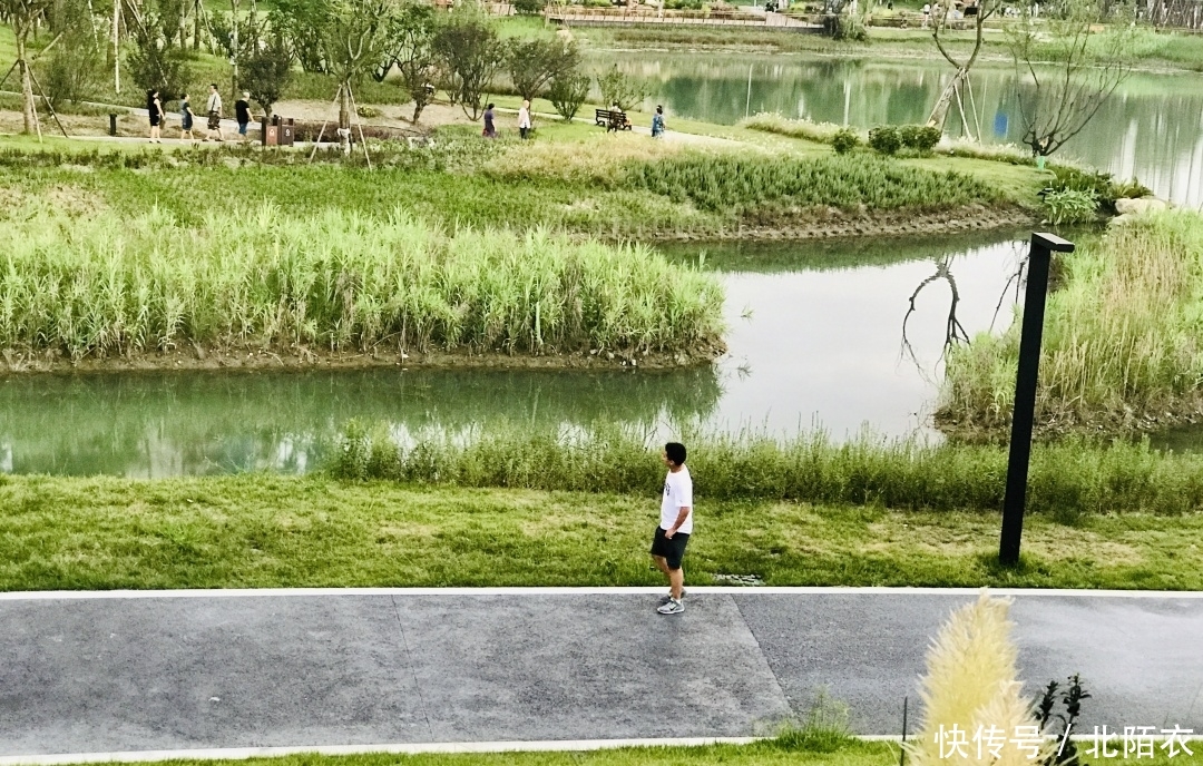 乱逛 | 沙河源公园,北门的又一个新新公园